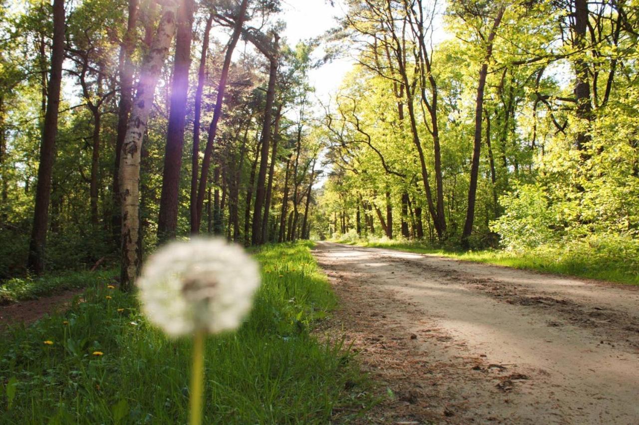 Natuurhuisje Even Niets Зелхем Экстерьер фото